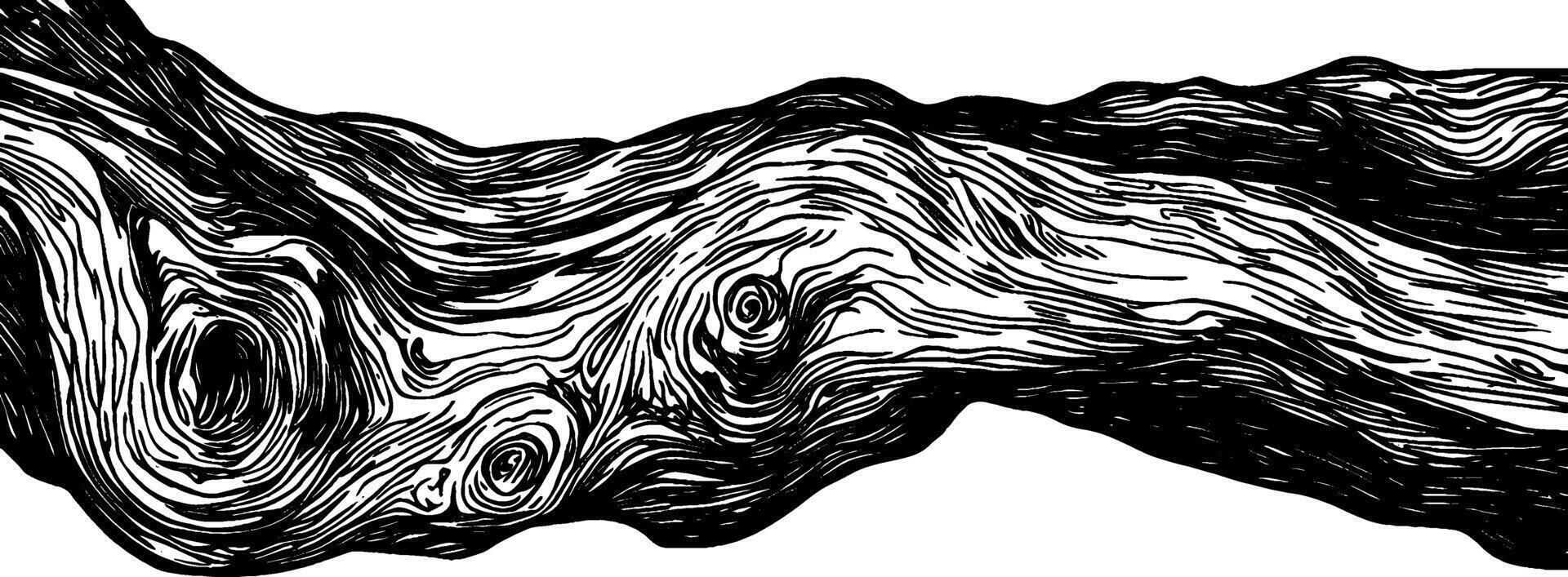 Detailed vintage woodcut illustration showcasing the intricate bark textures of a tree vector