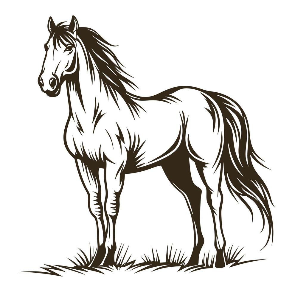Elegant Stallion Horse Illustration Standing Gracefully In A Field Silhouette Style vector