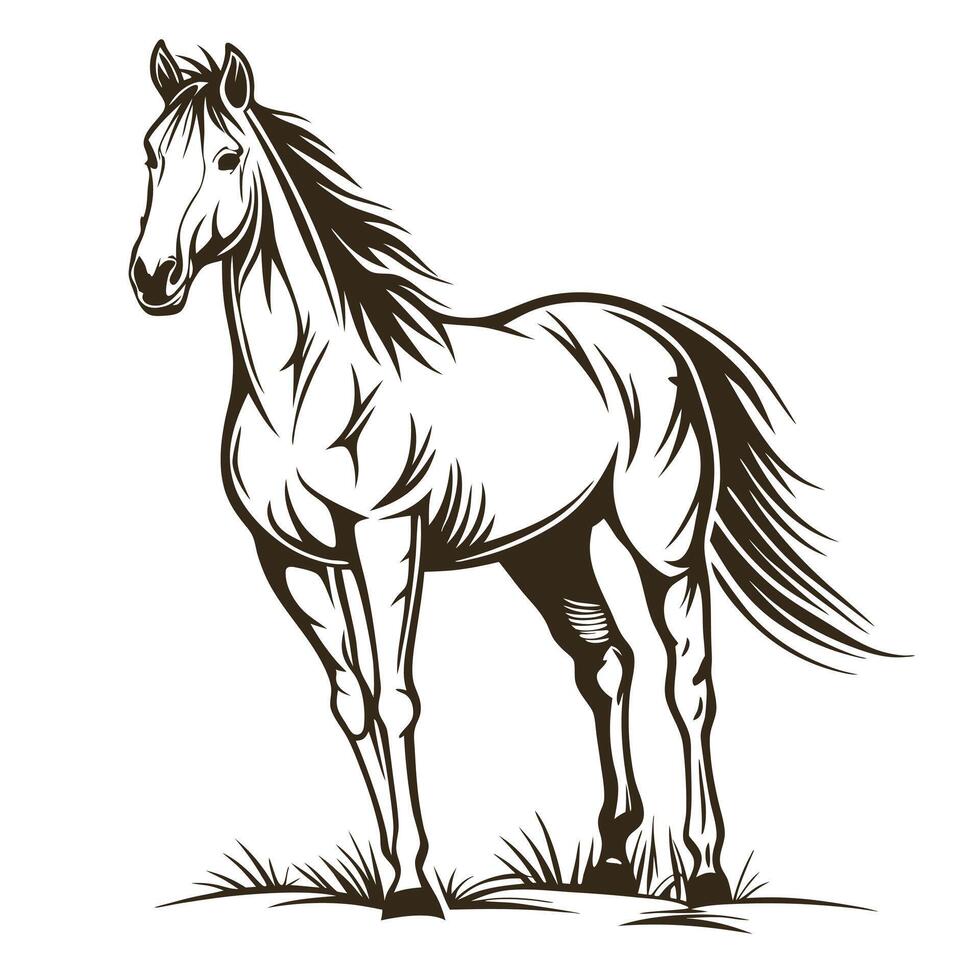 Elegant Stallion Illustration With Flowing Mane And Tail Standing On Grass vector