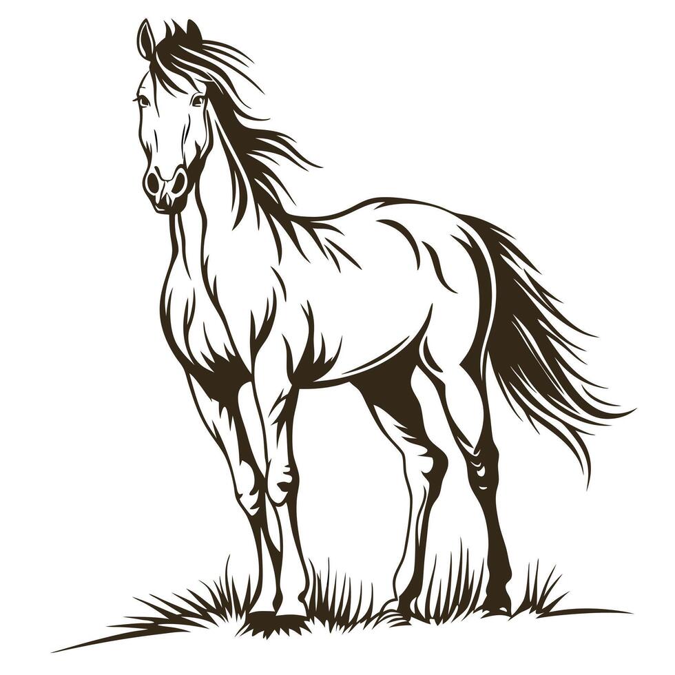 Majestic Horse Standing In Grass Illustration Simple And Elegant Design vector