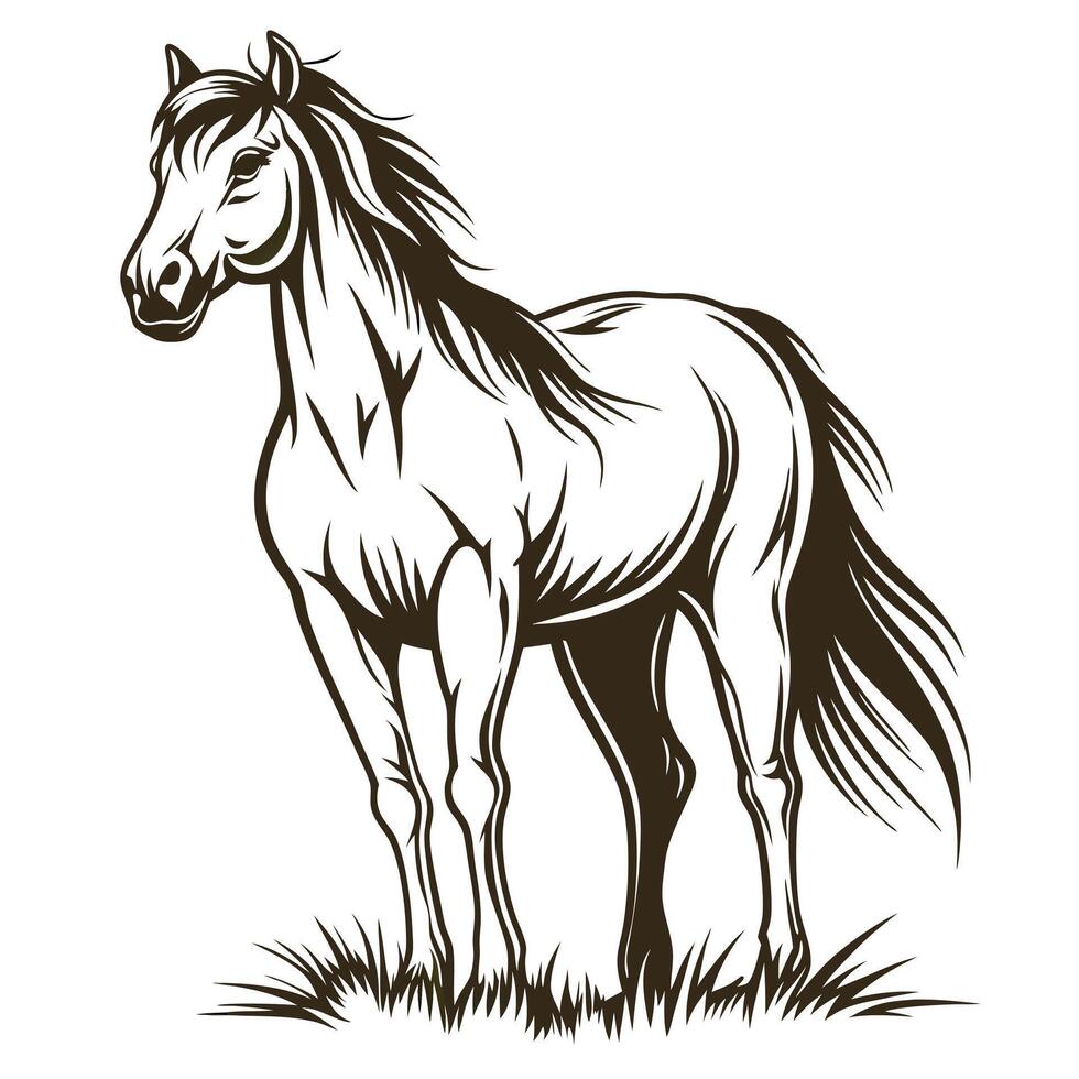 Elegant Horse Standing In Grass Illustration With Clean Lines And Details vector