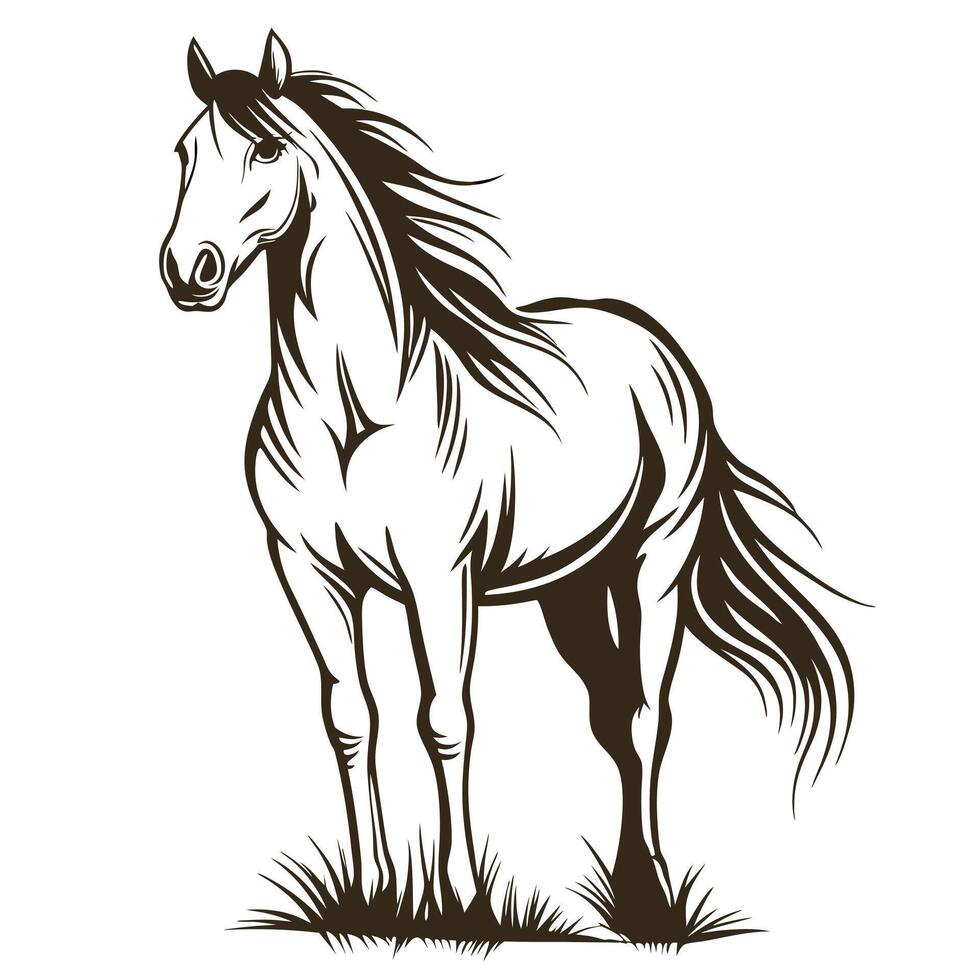 Majestic Horse Standing Proudly On Grass Isolated On White Background Graphic vector