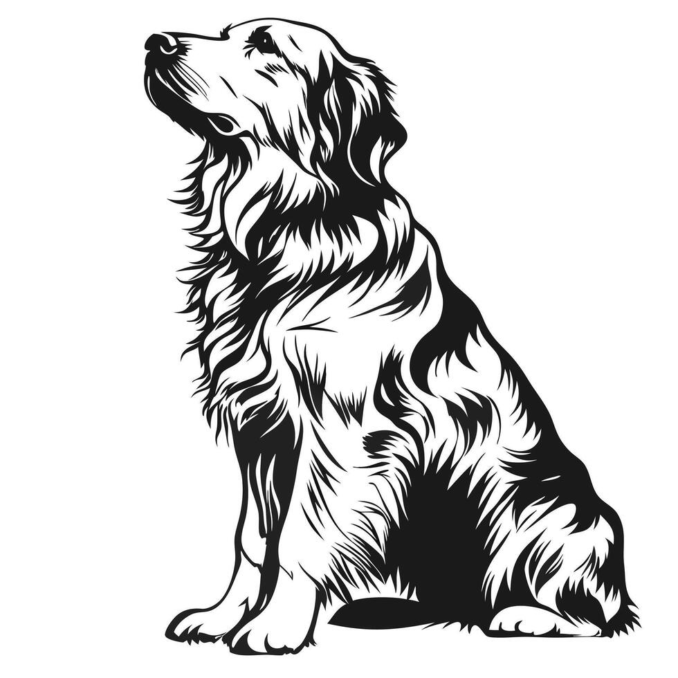 Elegant Golden Retriever Dog Silhouette Sitting And Looking Upward vector