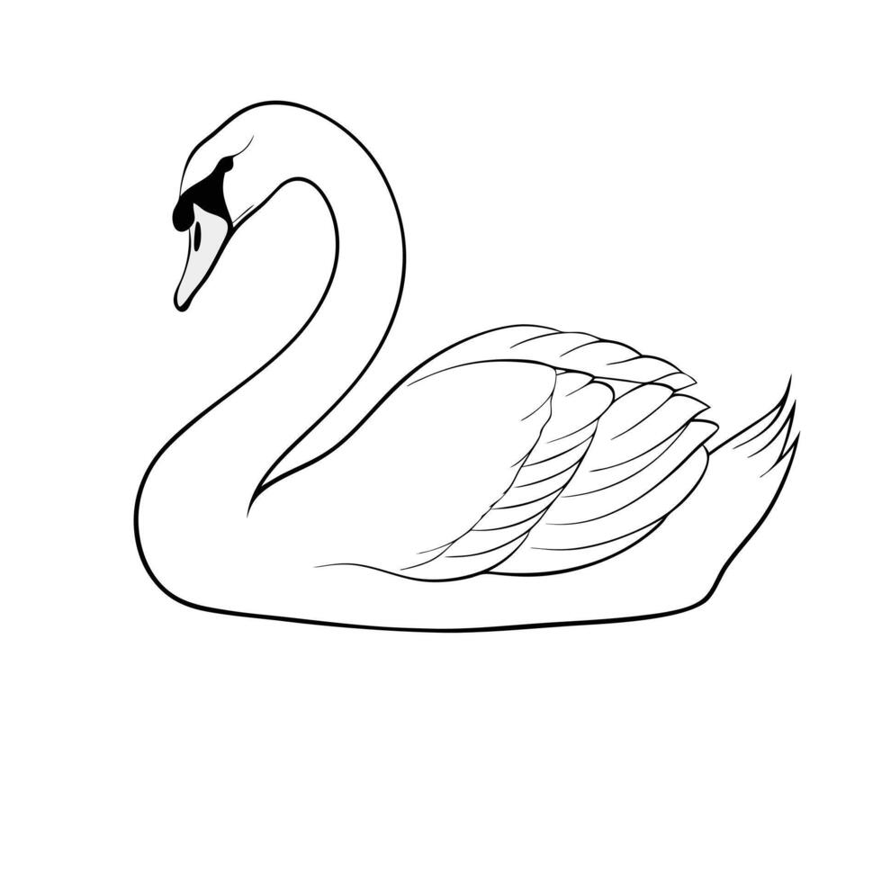 Elegant Swan Outline Illustration Monochrome Swan Silhouette Illustration Graceful Bird vector