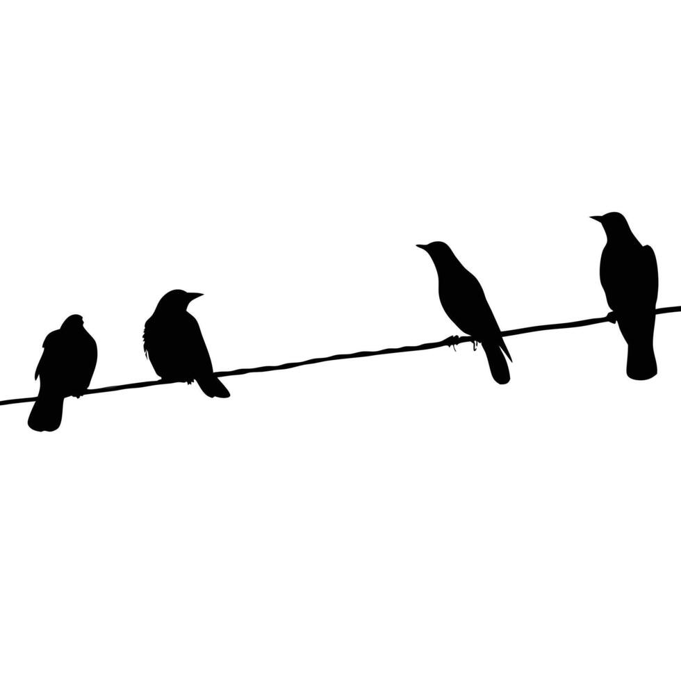 Birds On A Wire Silhouette Minimalist Birdwatching Image Wildlife Birds vector