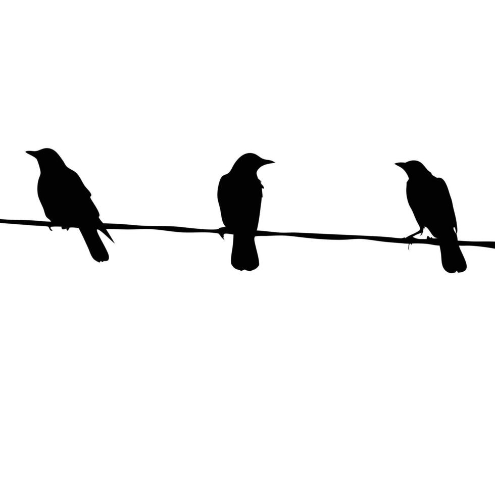 Silhouette Birds On Wire Black And White Minimalist Simple Crow Raven Perch vector
