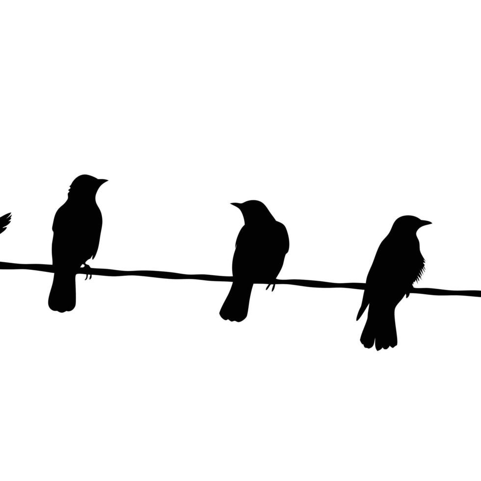 Birds On A Wire Black Silhouette Minimalist Design Illustration vector