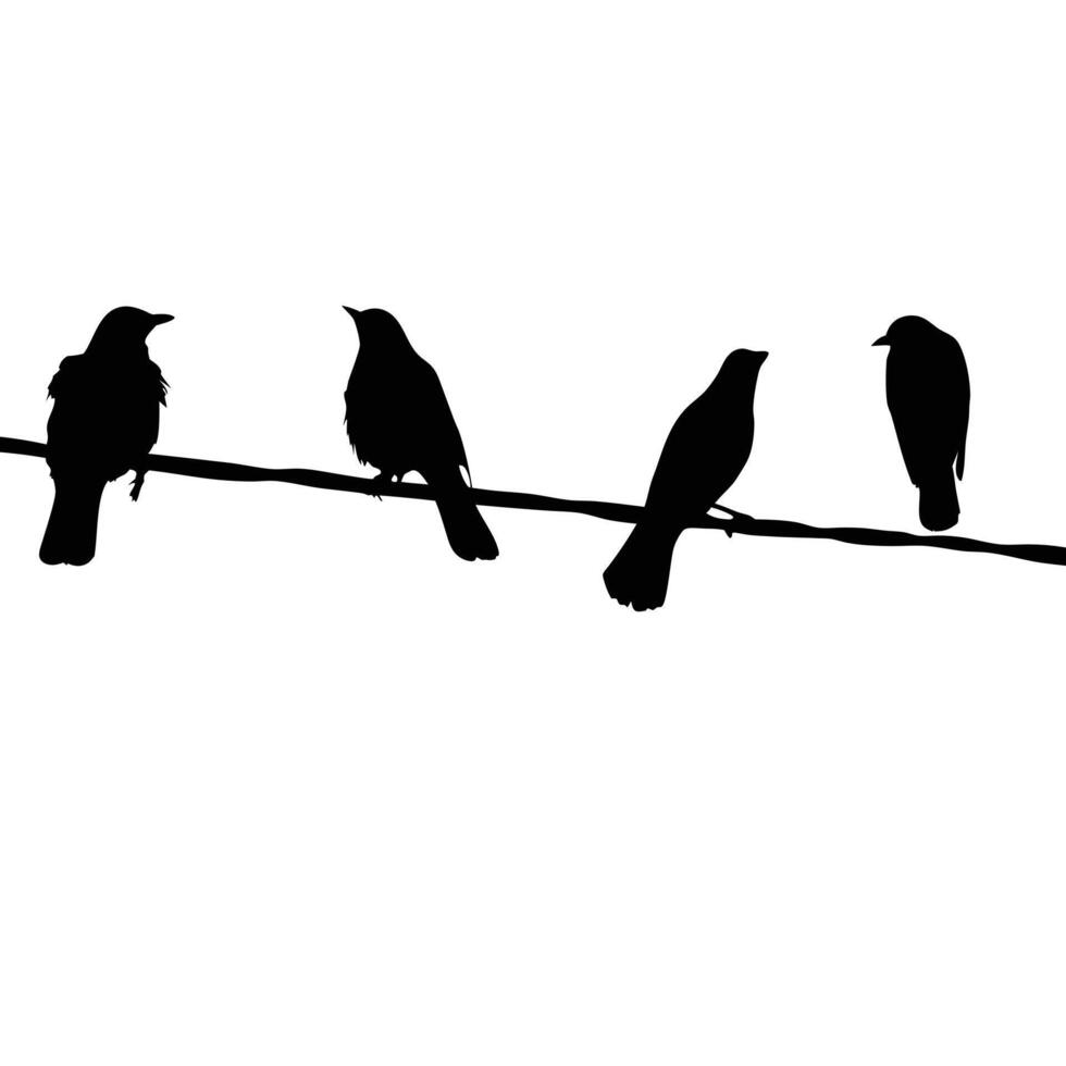 Black Silhouette Of Four Birds Perched On Wire Against White Background vector
