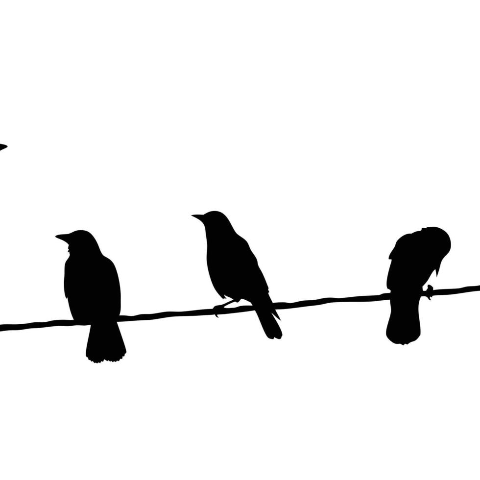 Bird Silhouettes On A Wire Minimalist Wildlife Fauna Avian Perch Line Black And White vector