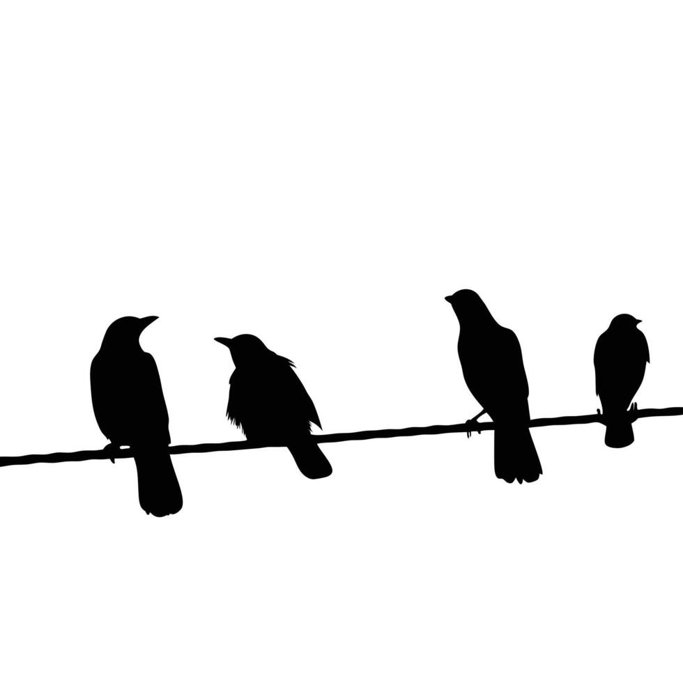 Silhouette Birds On A Wire Graphic Minimalist Design Nature Wildlife vector