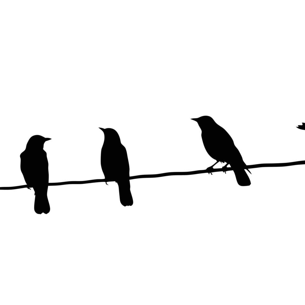 Silhouette Birds On Wire Minimalism Black And White Ornithology Concept Image vector