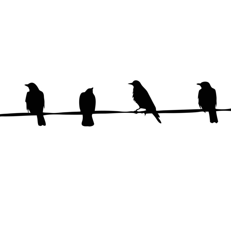 Birds On A Wire Silhouette Illustration Design Graphic Concept Isolated vector