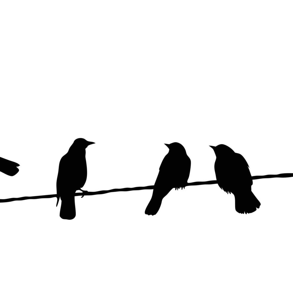 Birds On A Wire Silhouette Illustration Isolated On White Background vector