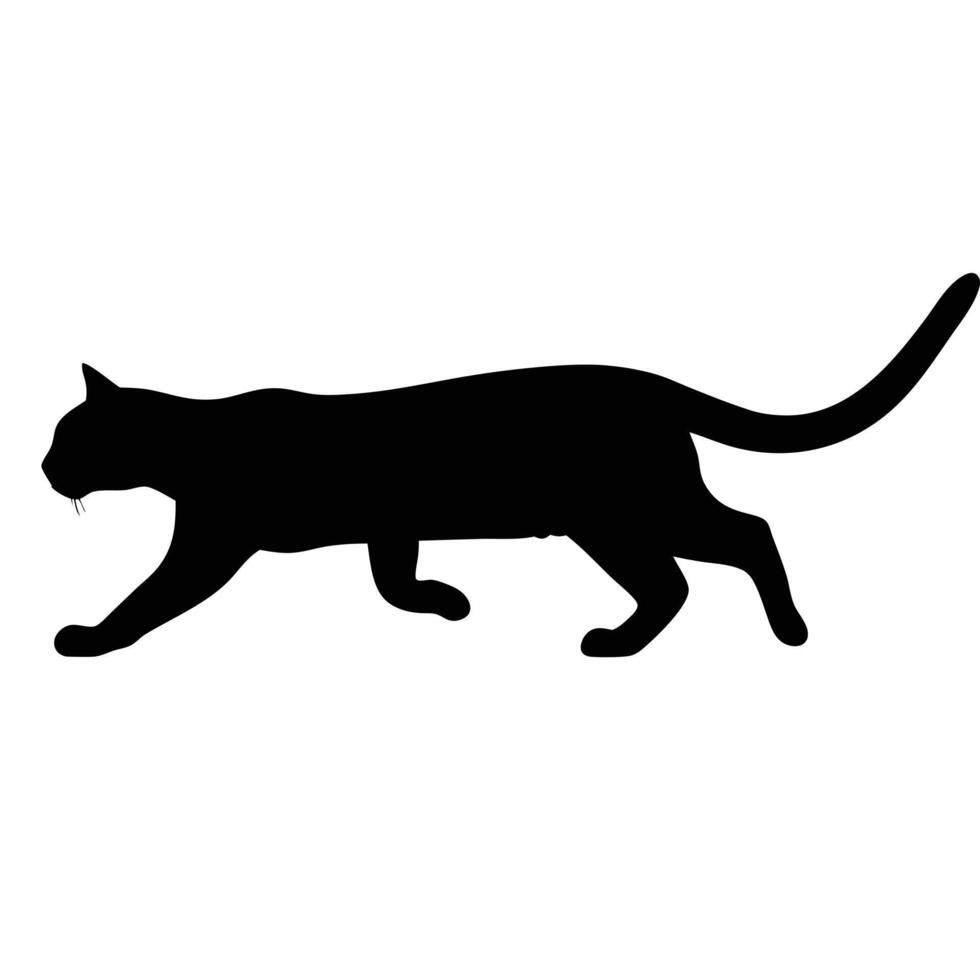 Black Cat Silhouette Walking Prowling Isolated On White Background Pet Animal Design vector
