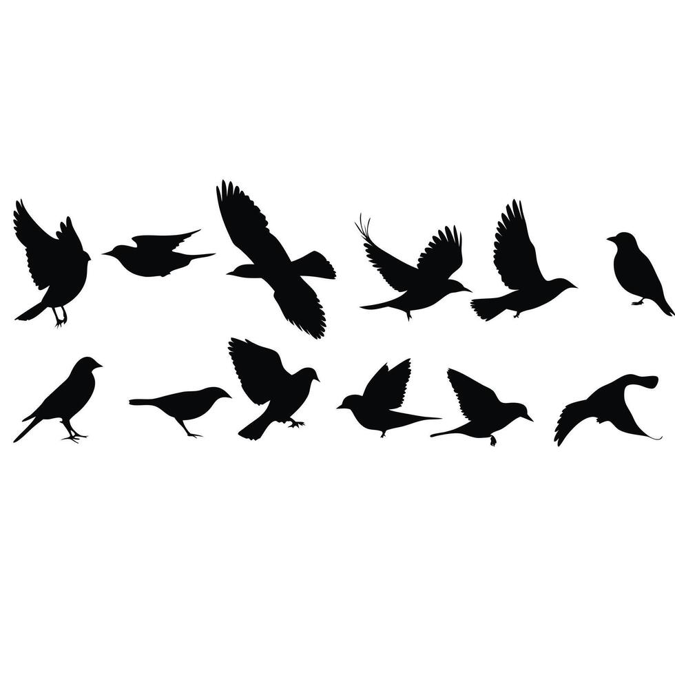 Collection Of Silhouette Bird Illustrations In Various Poses Isolated On White Background vector
