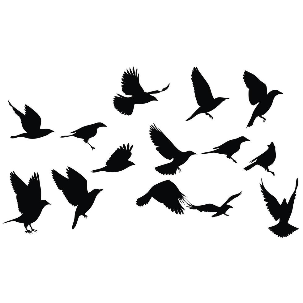 Silhouette Of Birds Flying Together Graceful Avian Illustration Design vector