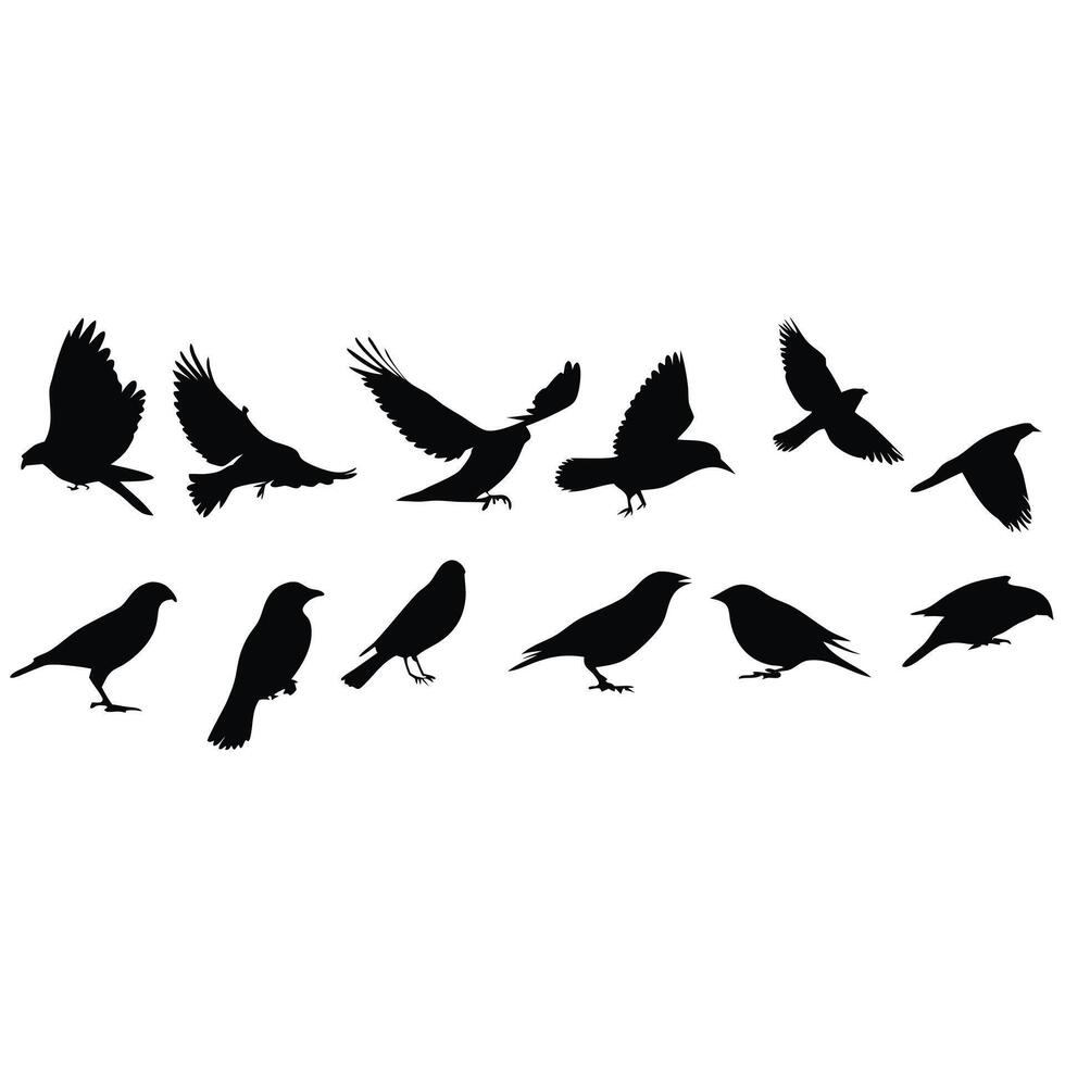 Collection Of Black Bird Silhouette Vectors In Different Poses Flying And Perching