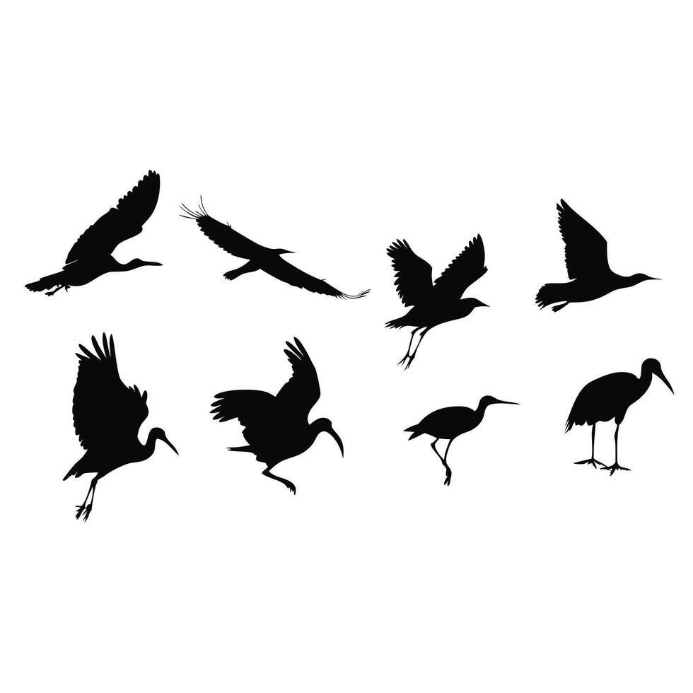 Silhouette Collection Of Ibis Birds Flying And Standing On White Background vector