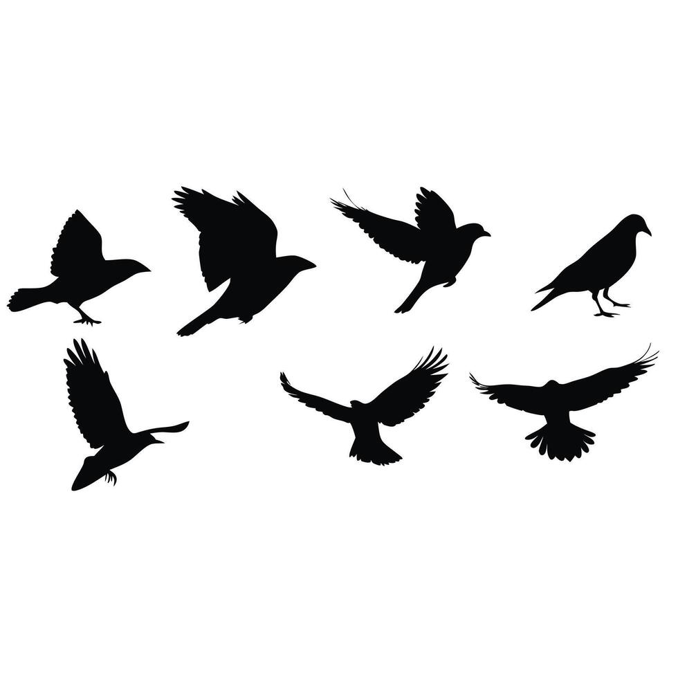 Set Of Bird Silhouettes Flying And Standing Illustration Graphic Design vector