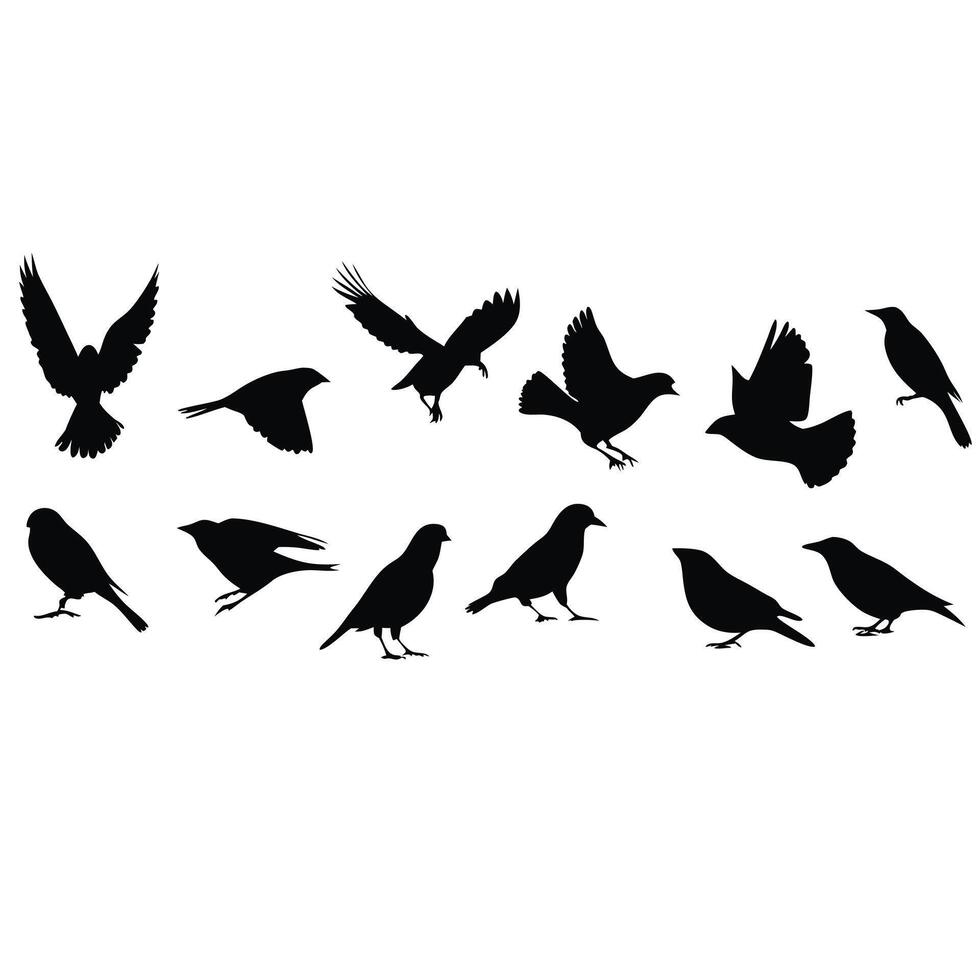Bird Silhouettes Collection Of Flying And Perching Poses Against White Background vector