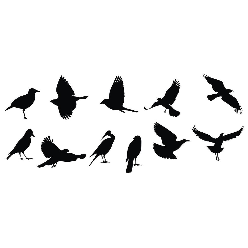 Bird Silhouette Illustration Set Of Various Flying Poses And Standing Shapes vector