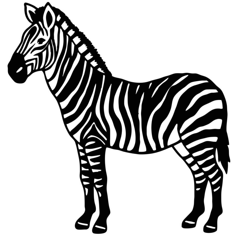 Black And White Zebra Illustration Standing Tall Animal Design Isolated vector