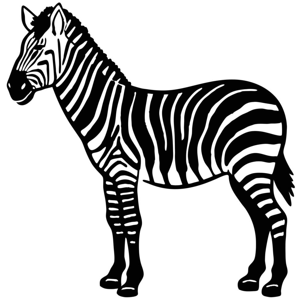 Zebra Illustration Standing With Black And White Stripes Art Isolated Design vector