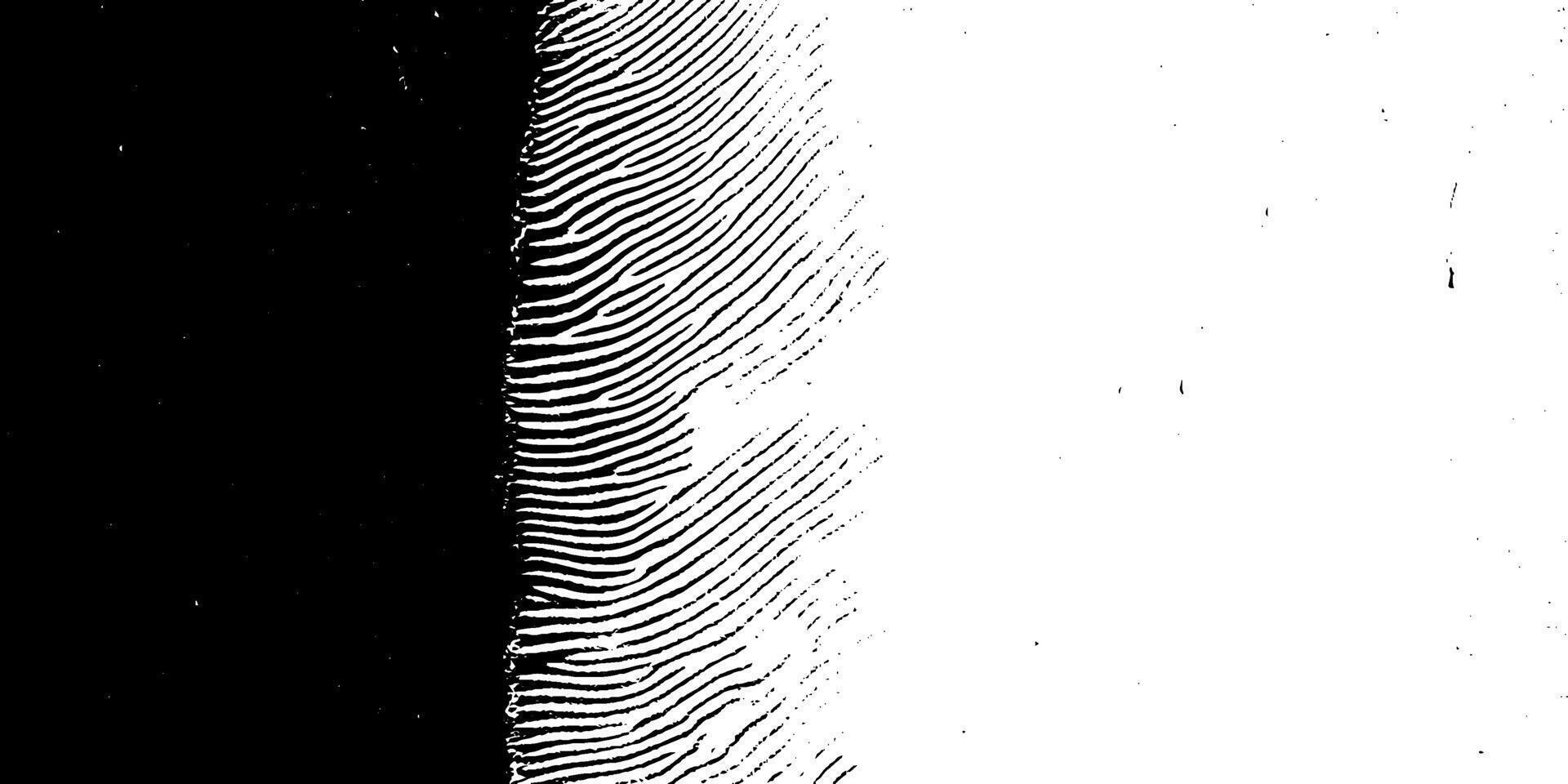 Background with Black and White Zebra Lines, Rough Pattern on White Distressed Paper with a Textured Effect. vector
