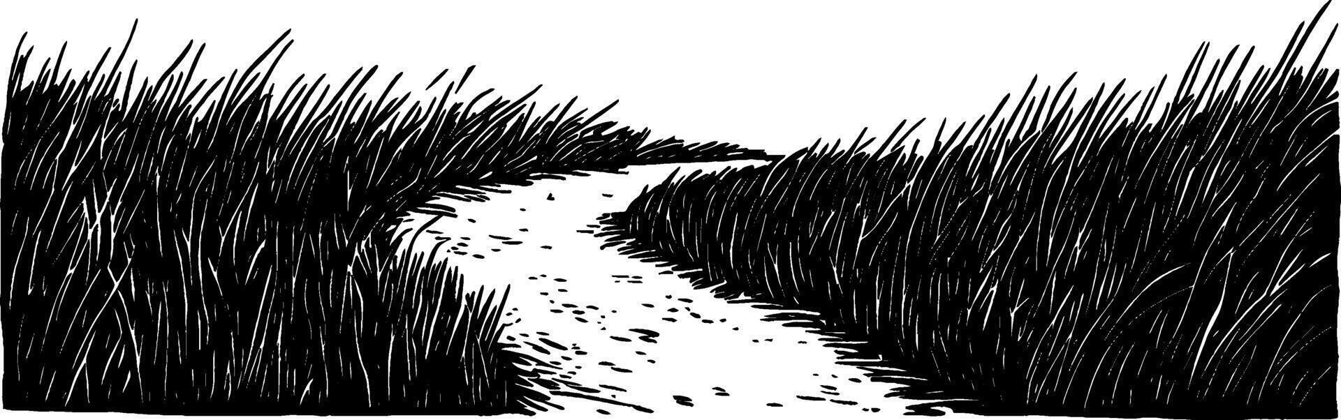 Vintage woodcut illustration depicting a winding path through tall grass vector