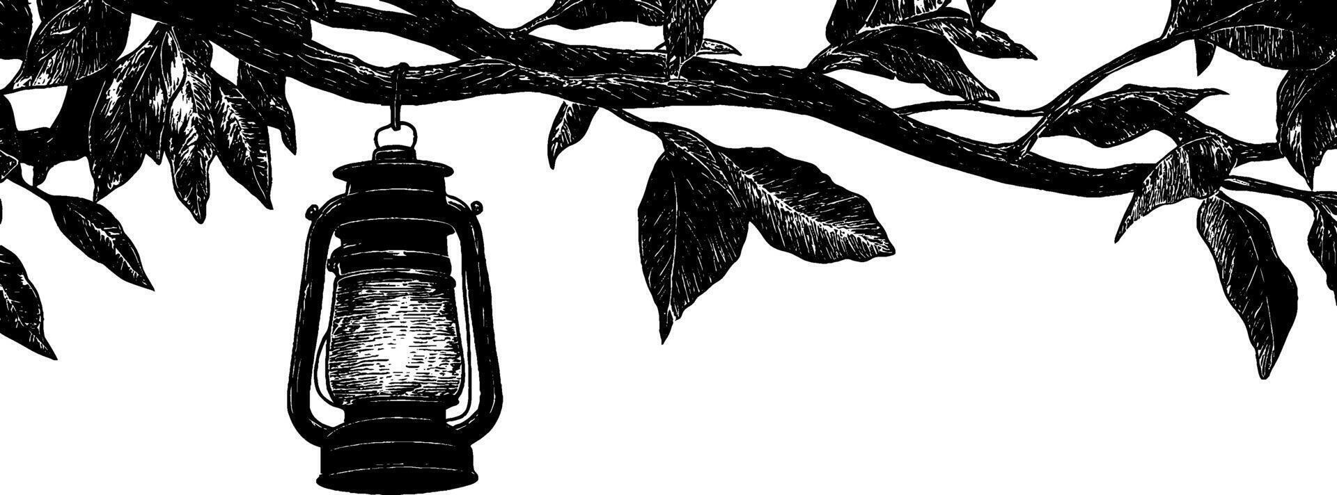 Vintage woodcut illustration of a lantern hanging from a tree branch surrounded by leaves vector