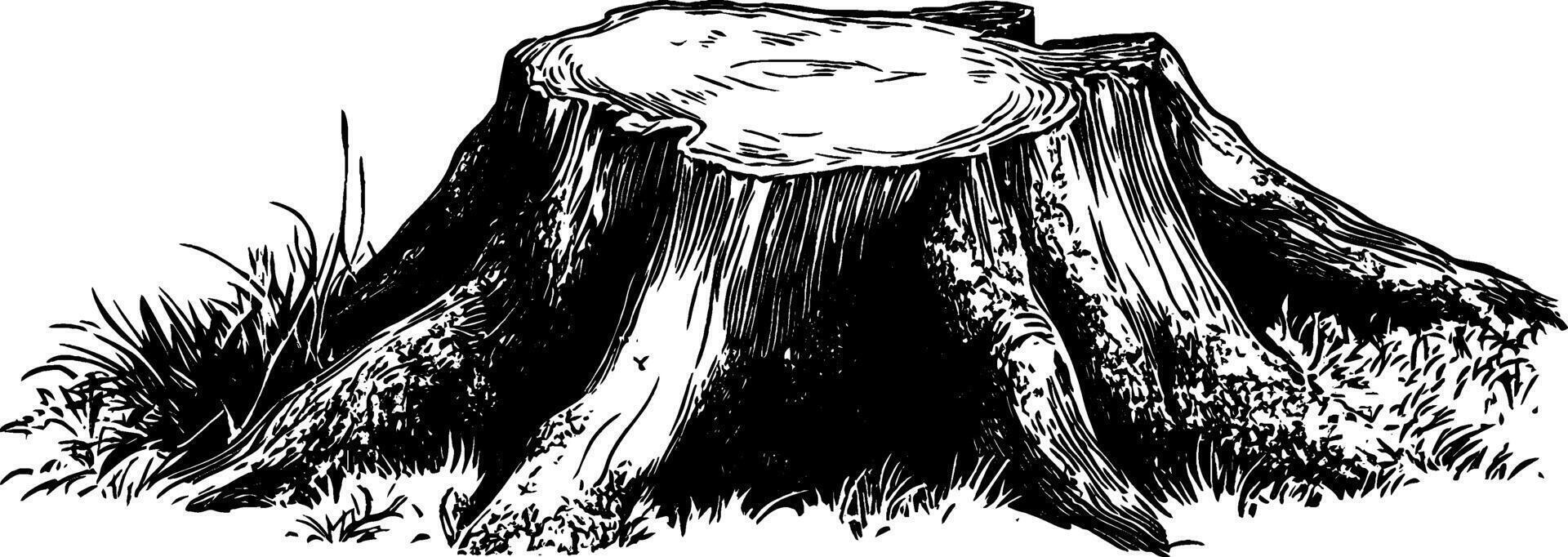 Vintage woodcut illustration depicting a tree stump surrounded by grass and vegetation vector