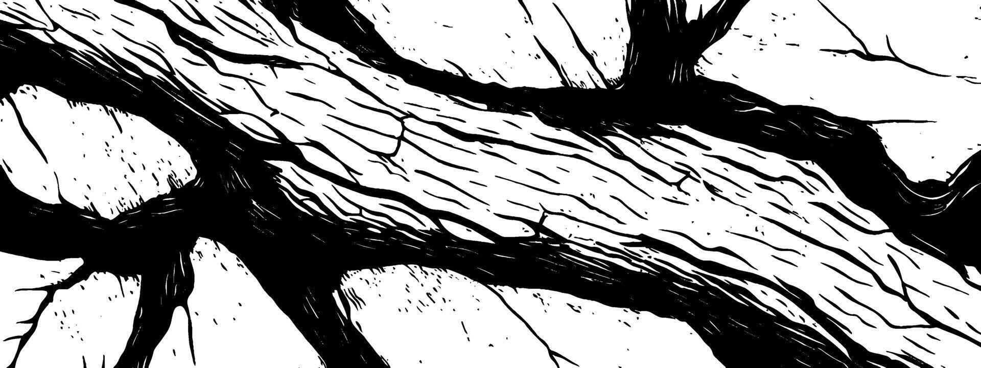 Close-up of vintage woodcut illustration depicting detailed tree bark texture vector