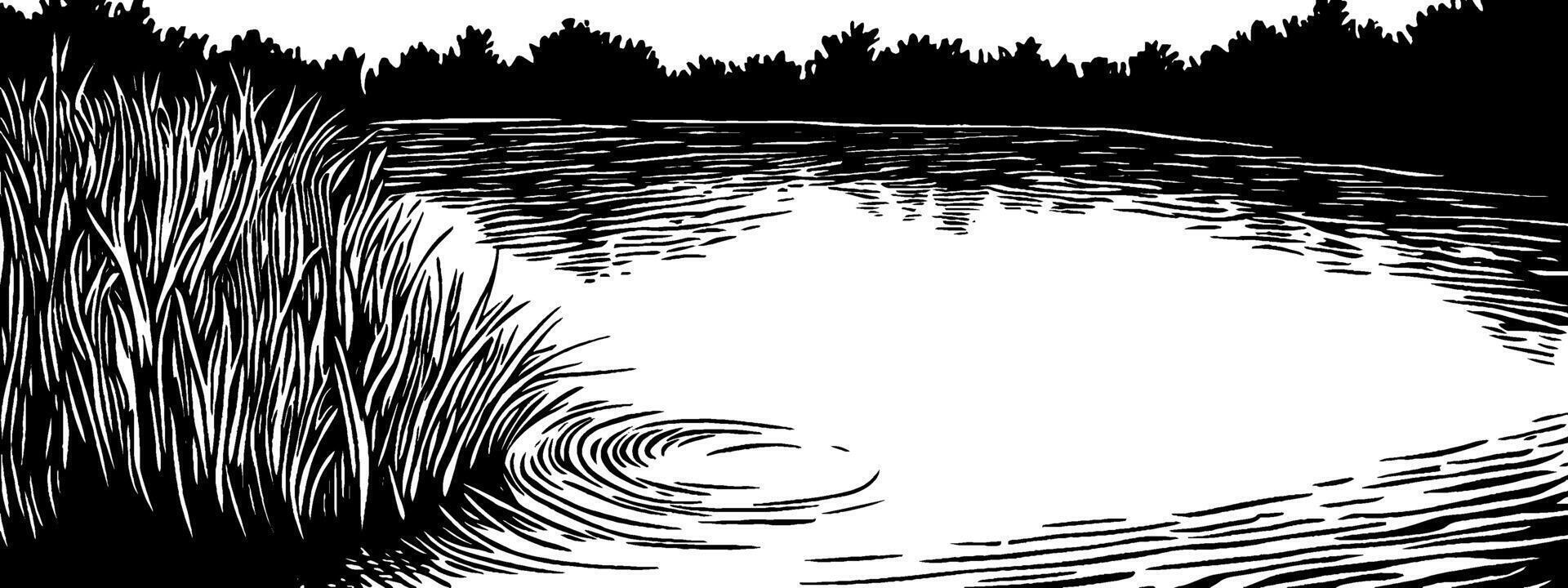Vintage woodcut illustration capturing the tranquility of a serene lake landscape vector