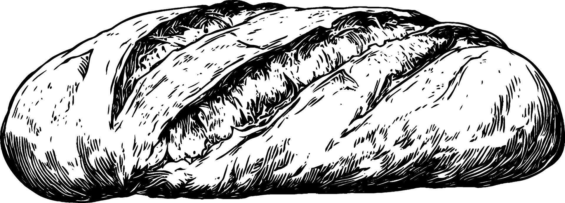 Vintage woodcut illustration showcasing a freshly baked loaf of bread in rustic detail vector