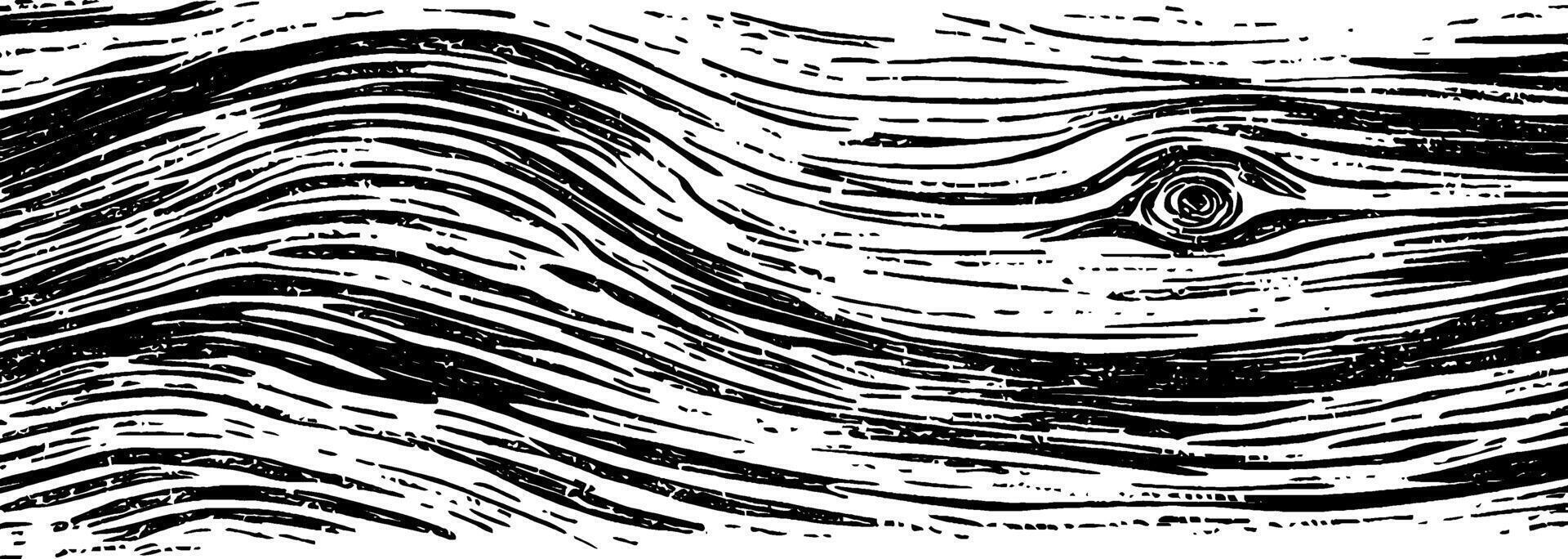 Vintage woodcut illustration displaying distressed texture in flowing lines and patterns vector