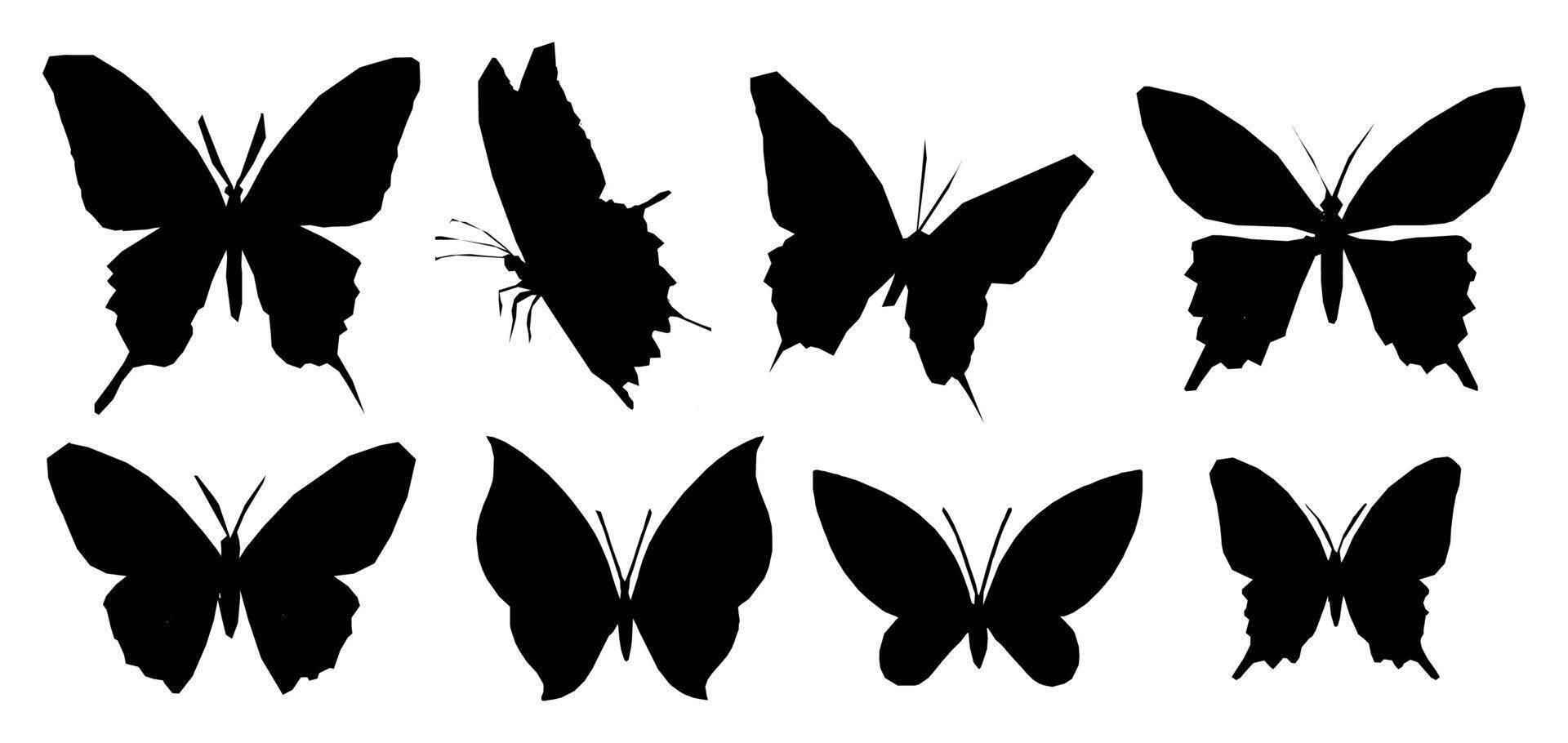 Butterfly silhouette with black pattern. Tattoo design on background with cute wings. Simple graphic icon and outline. Magical insect art element for summer. vector