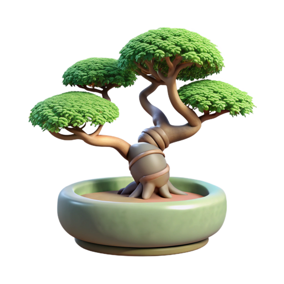 stunning modern Bonsai Tree Isolated on Transparent Background high quality png