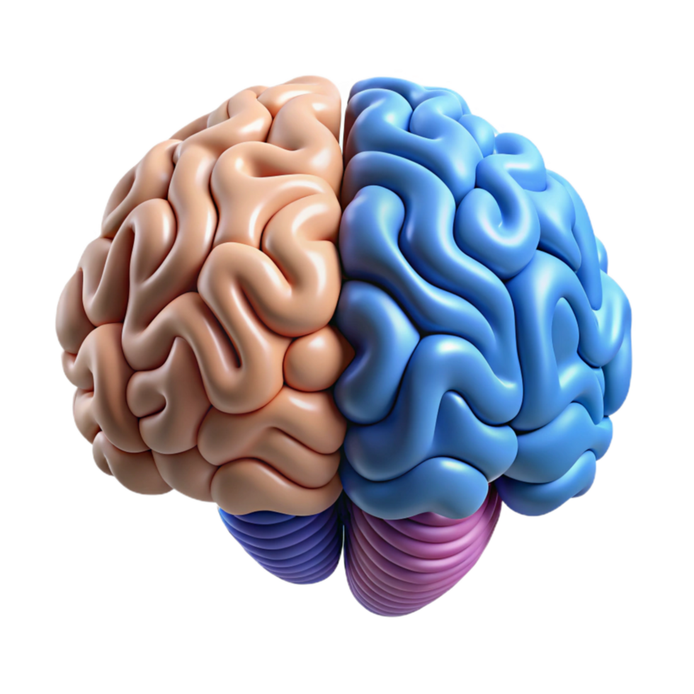 beautiful creative Brain Waves Alpha Beta Patterns Cutout premium png
