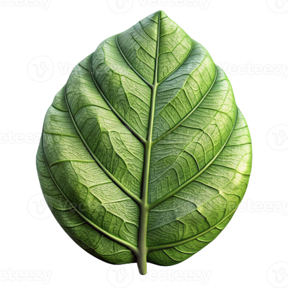 stunning abstract Detailed Leaf Texture Terraverde Tapestry Transparent Background premium png