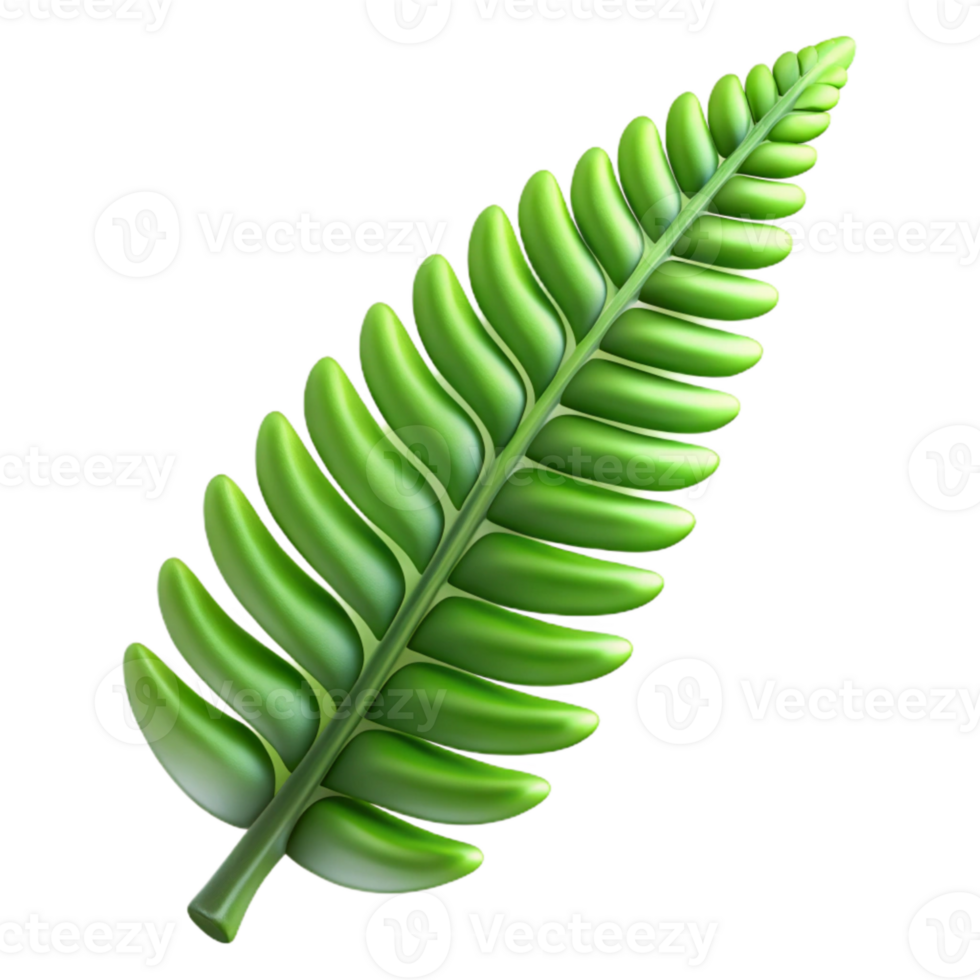 elegant modern Fern Frond Close Up Cutout Backlit professional png