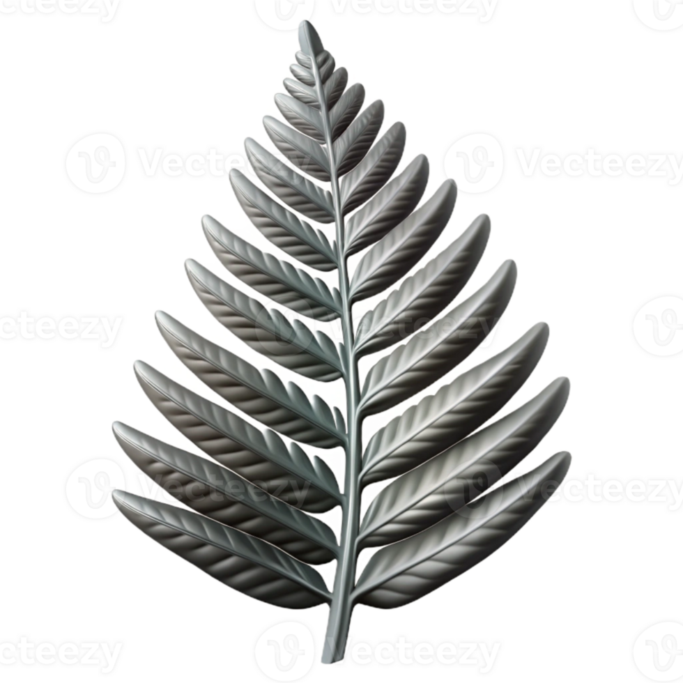 beautiful classic Fern Leaf Silhouette with Transparent Background Cutout genuine png