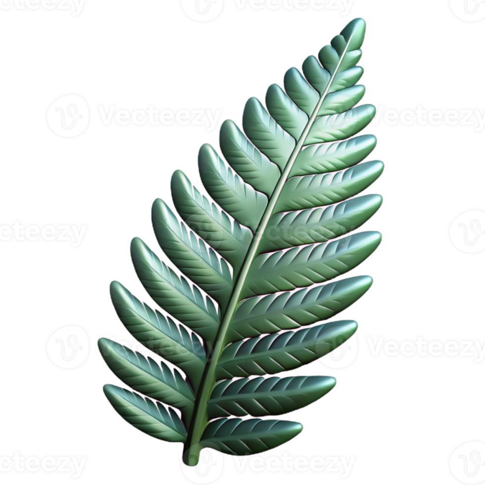 elegant contemporary Fern Leaf Silhouette with Transparent Background Cutout premium png