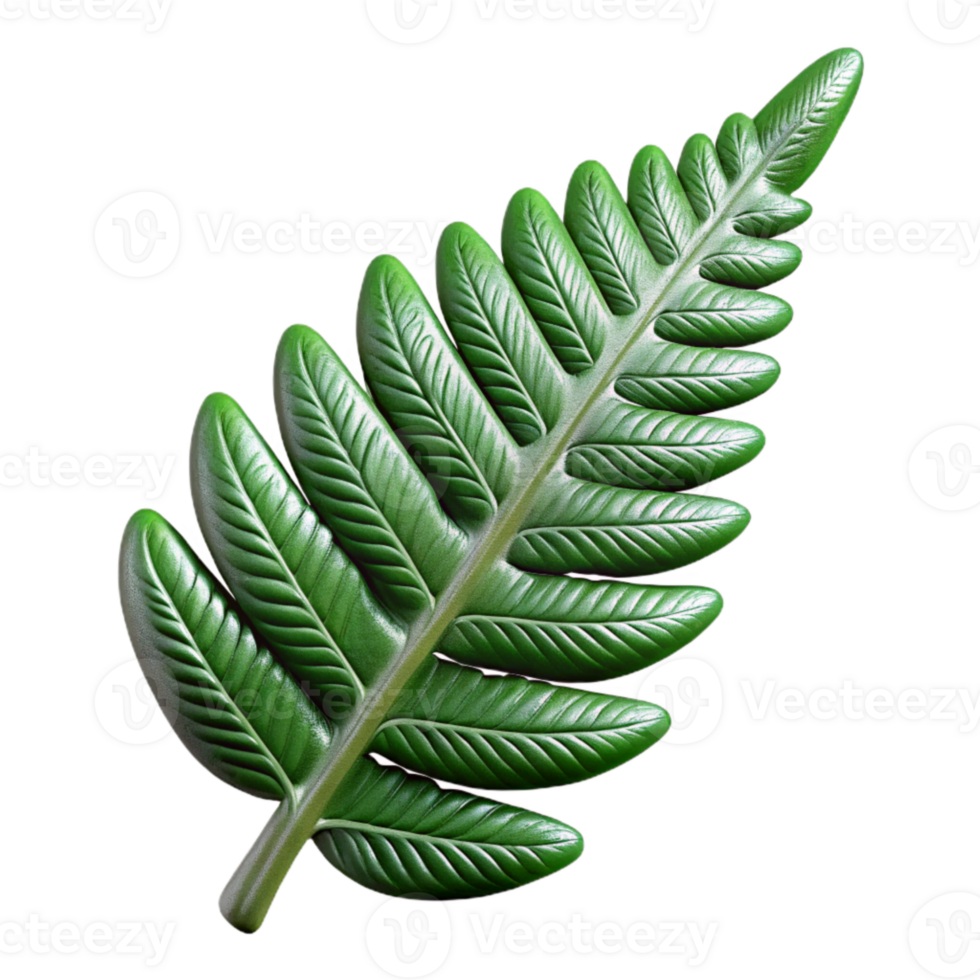 beautiful contemporary Fern Leaf Closeup Cutout with Detailed Texture authentic png