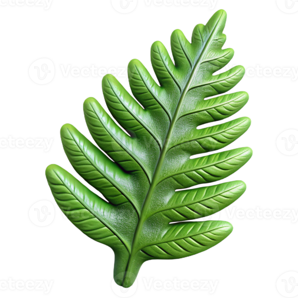 stunning modern Fern Leaf Closeup Cutout with Detailed Texture authentic png