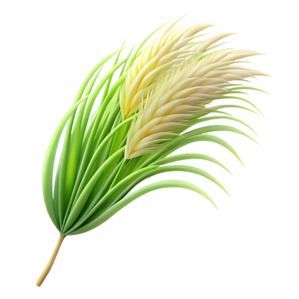 wonderful artistic Flowing Grass Blades Cutout Isolated Side View premium png