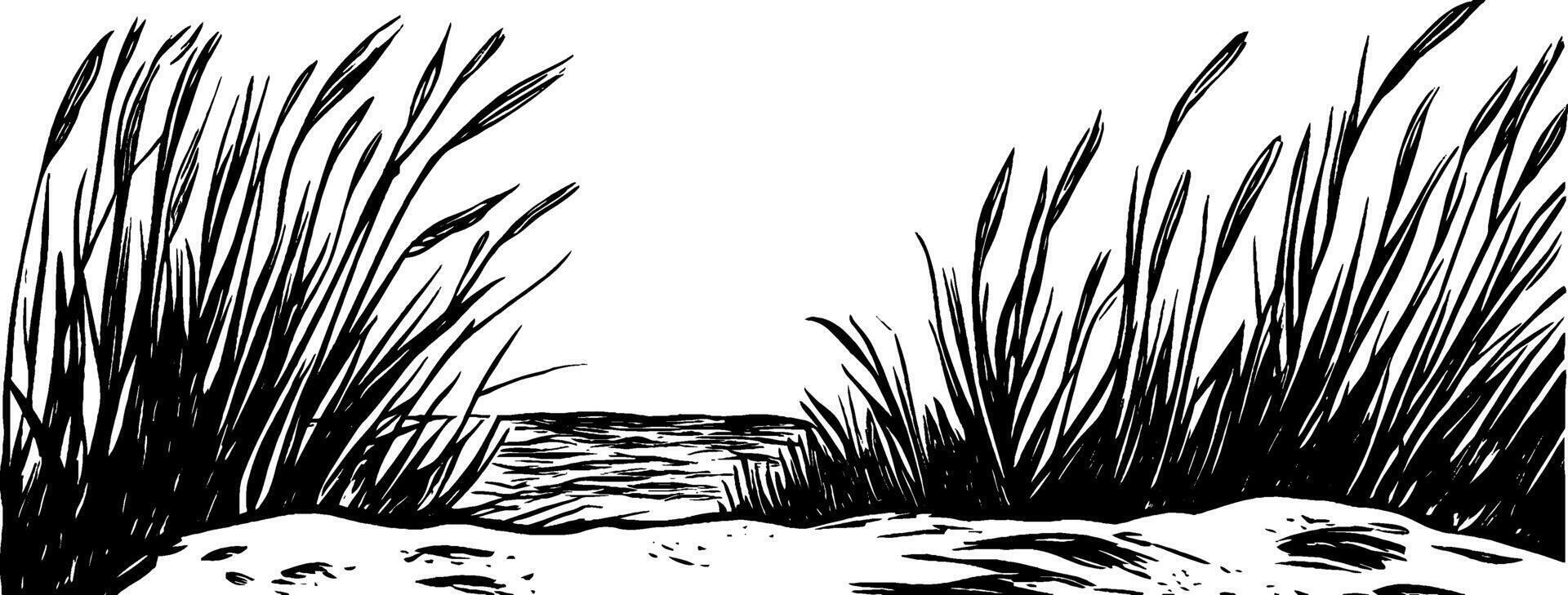 Vintage woodcut portrayal of a windswept beach with tall grass by the shore vector