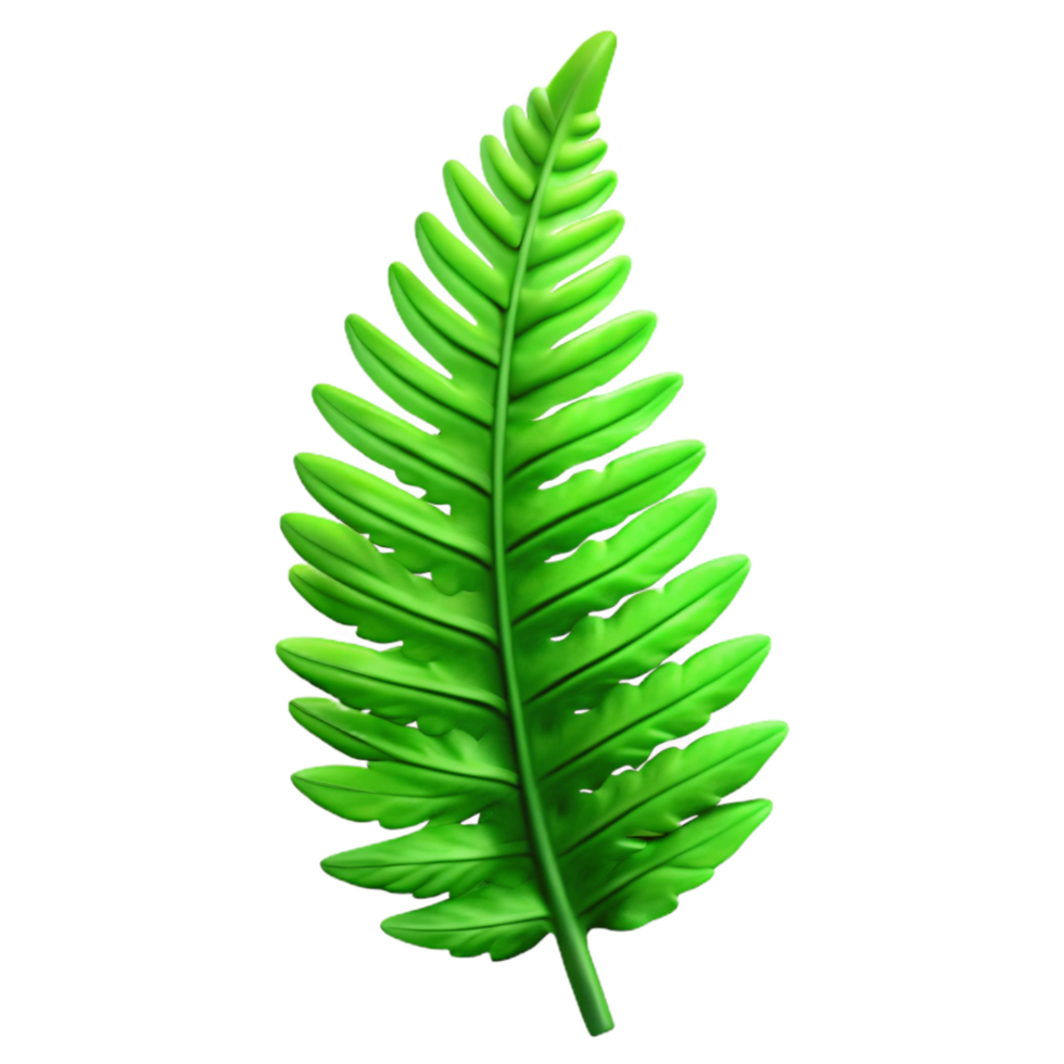 dramatic creative Green Fern Frond Silhouette Isolated Transparent Background authentic png