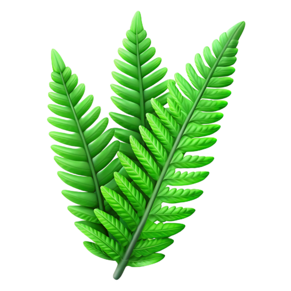 impressive traditional Green Fern Fronds Cutout Isolated on Transparent Background premium png