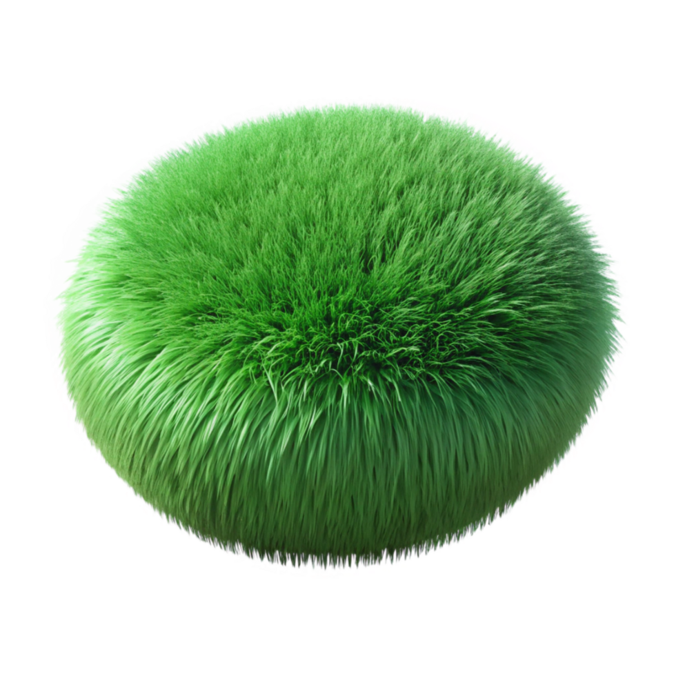 wonderful traditional Green Grass Tuft Isolated on Transparent Background high quality png