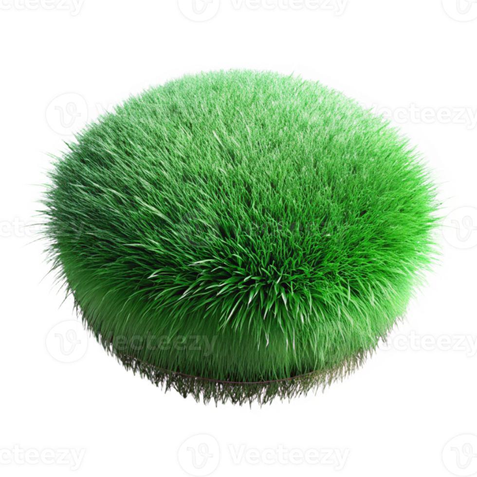 dramatic contemporary Green Grass Tuft Isolated on Transparent Background authentic png